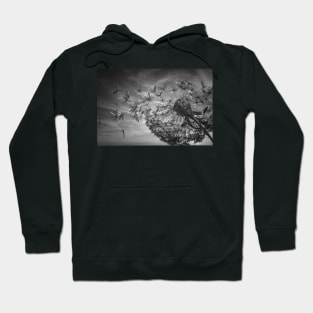 Summer Breeze Dandelion (Noir Texture) Hoodie